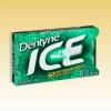 Dentyne Spearmint